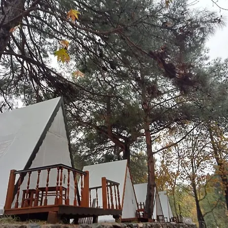 Sincap Camping *